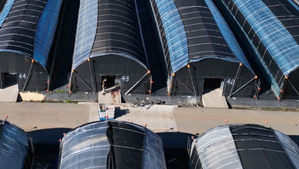 Suspect accused of killing seven in Half Moon Bay to appear in court