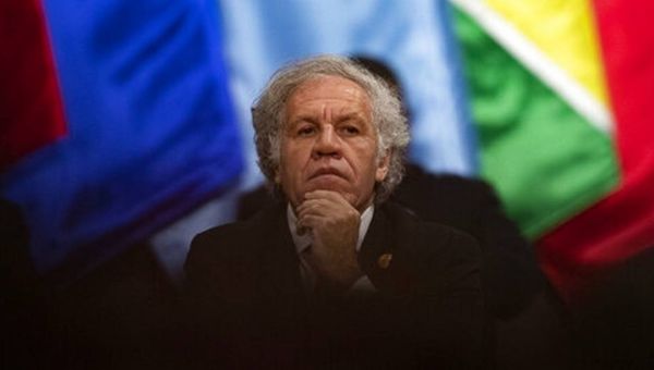 US supports calls for external ethics probe into OAS chief