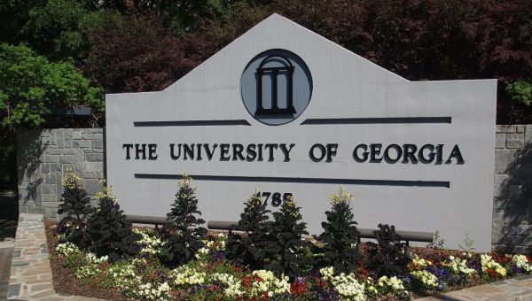 Georgia can destroy DEI in higher education by defunding it