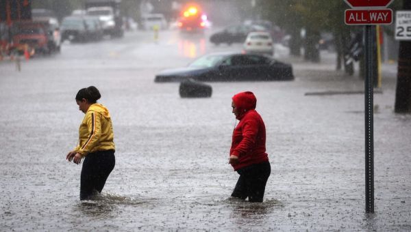 Submerged subways, flooded flight terminals, and escaped sea lions: New York has become Waterworld