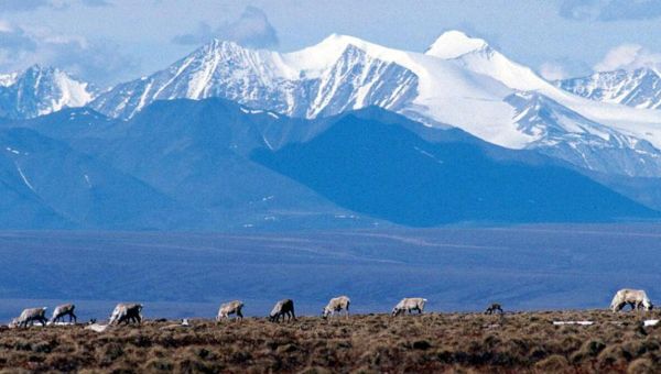 Biden administration to block drilling on millions of acres in Arctic Alaska