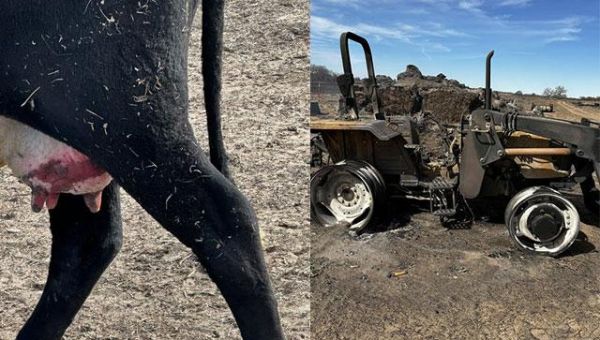 Donations Needed as Farmers, Ranchers Recover From Wildfires, Worry About Weather Outlook