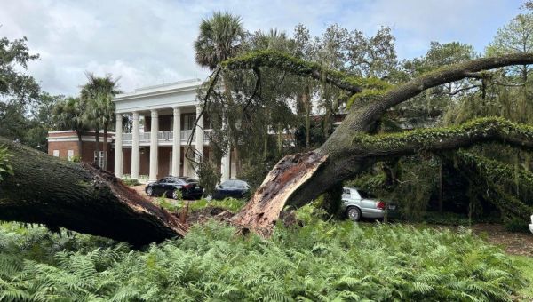 100-year-old tree falls on Florida governor’s mansion