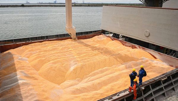 Zelenskyy vows to help feed Africa and boost global food security with Grain from Ukraine scheme