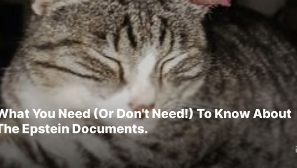 What You Need (Or Don’t Need!) To Know About The Epstein Documents.