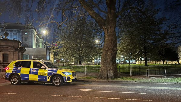 Man held by police after ‘shotgun cartridges thrown into Buckingham Palace’