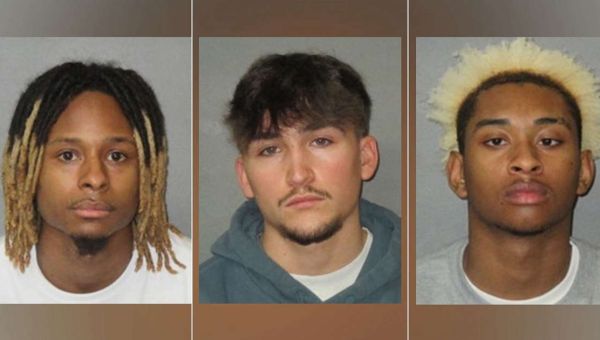 4 arrested in alleged rape of college student later fatally struck by car: Police