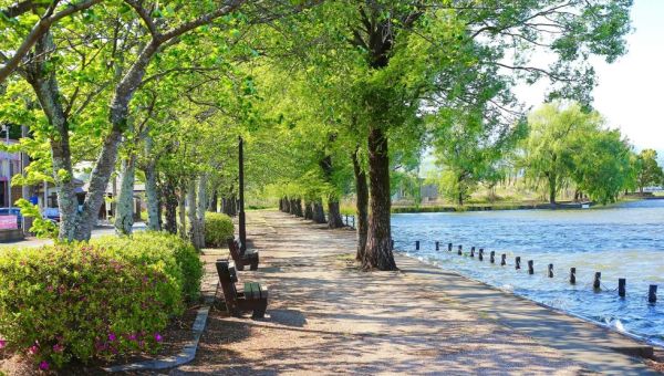 Cities are vulnerable to heatwaves. But green spaces can help more than we thought