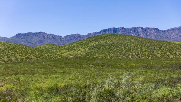 President Biden Creates Two New National Monuments from Sacred Spaces to Native Tribes