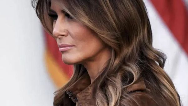 ‘They want to ban books’: Melania Trump’s defense of nude modeling befuddles MSNBC panel