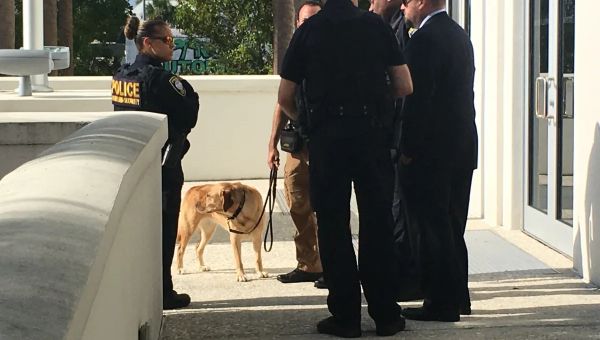 Trump supporters travel to Fort Pierce courthouse where aide Nauta entered not-guilty plea