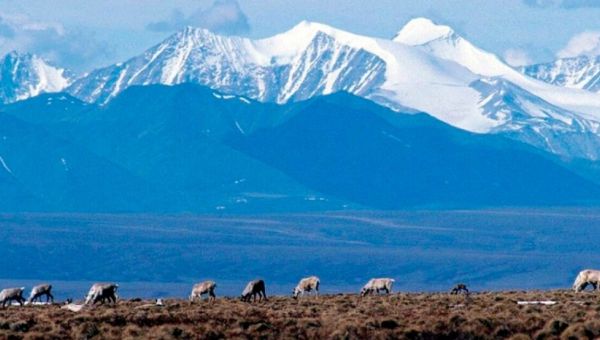 Biden administration cancels oil and gas leases in Alaska refuge
