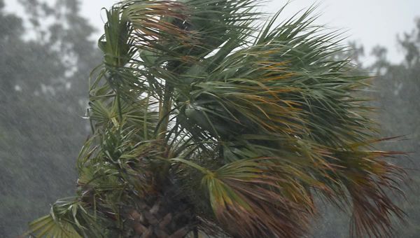 Hurricane Ian update: Storm nears SC. Thousands lose power. Water surges near Myrtle Beach