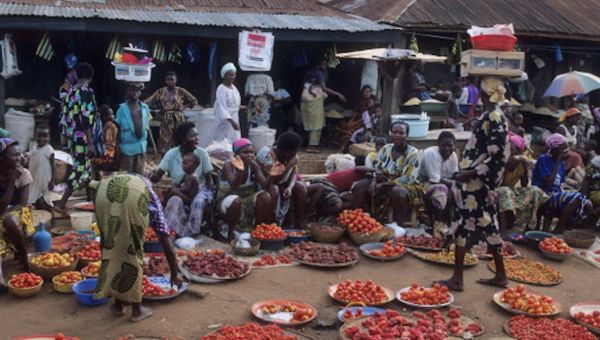 Abortion pills are being widely used in Nigeria: women and suppliers talk about their experiences