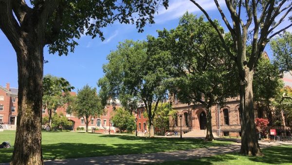 Doctor at Brown University deported to Lebanon despite US judge's order | CNN