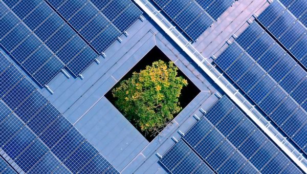 Biden-Harris Administration Announces $7.3 Billion in Rural Clean Energy Investments