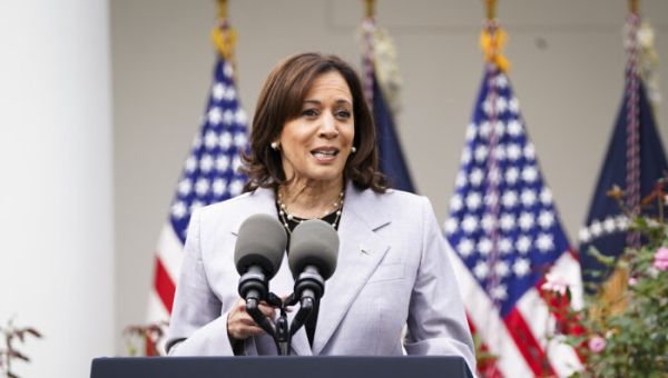 Harris Says Democrats Are Fighting to Protect America's Civil Liberties