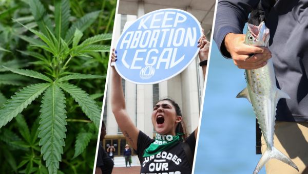 Abortion, pot fails in Florida: Here’s how the Sunshine State voted on each amendment