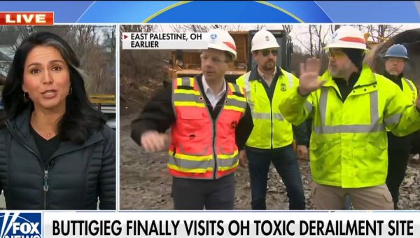 Tulsi Gabbard says Ohio residents livid with Biden, Buttigieg: ‘They feel forgotten and left behind’