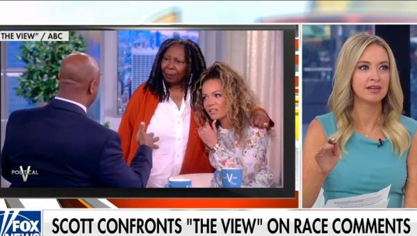 Tim Scott earns praise after leaving liberal ‘View’ host ‘speechless’ with ‘undeniable facts’