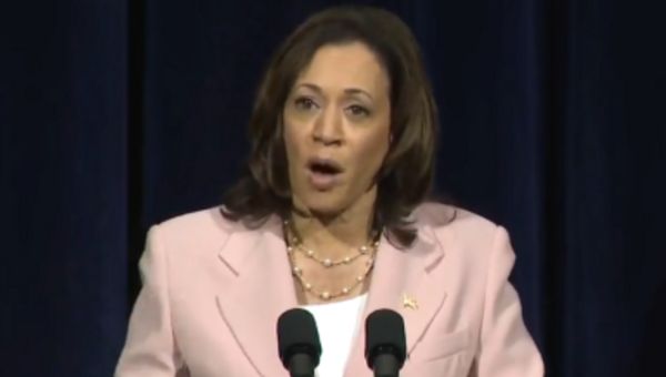 Kamala Harris declares US must ‘reduce population’ to combat climate change in yet another gaffe