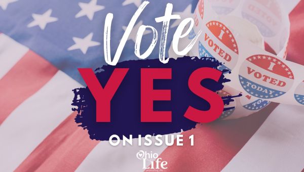 State constitution (United States) Img