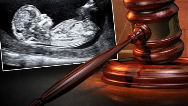 Georgia Supreme Court Issues Order Reinstating Heartbeat Law Saving Babies From Abortions – LifeNews.com