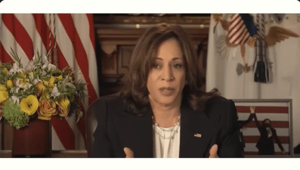 Kamala Harris Brags About Agenda That Will ‘Reduce Population’