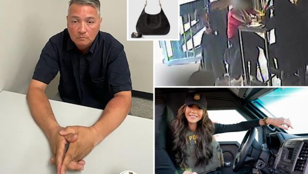 Exclusive | Second illegal migrant accused in Kristi Noem's purse snatching ID'd,...