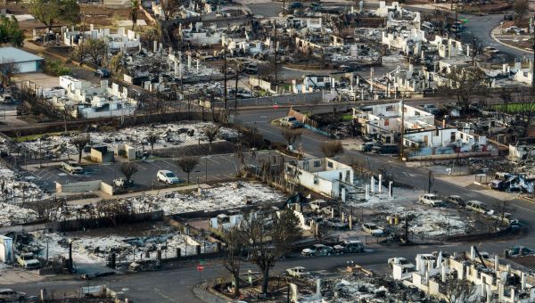 Maui Survivors Ask ‘Why No Sirens?’ as New Evidence Reveals What Might Have Started the Blaze