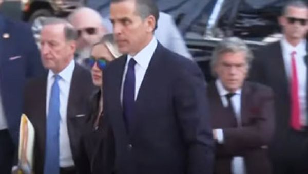 Hunter Biden pleads guilty to all nine counts after wild hearing