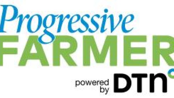 Oil Edges Up After Attack on Main Russian Export Terminal