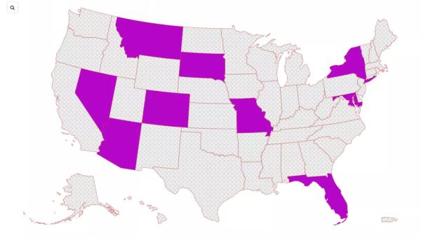 Map shows states that will vote on abortion rights in November