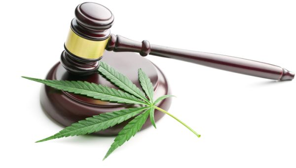 Biden expands marijuana pardons, commutes sentences of 11 others serving long drug sentences