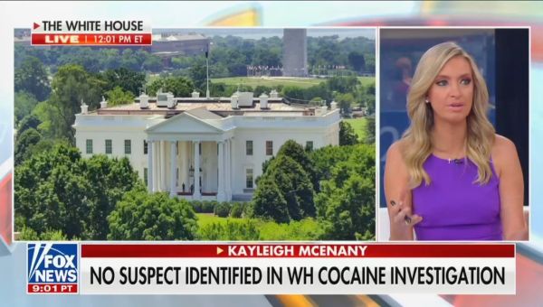 Fox’s Kayleigh McEnany Breaks Down Why White House Cocaine Investigation Was So Tricky And Who Most Likely Brought It In
