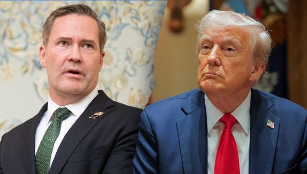Mike Waltz, other National Security Council staffers canned in latest Trump purge following Signal chat leak