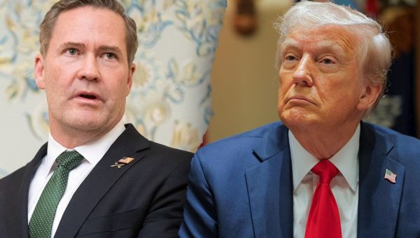 Mike Waltz, other National Security Council staffers out in latest Trump purge following Signal chat leak