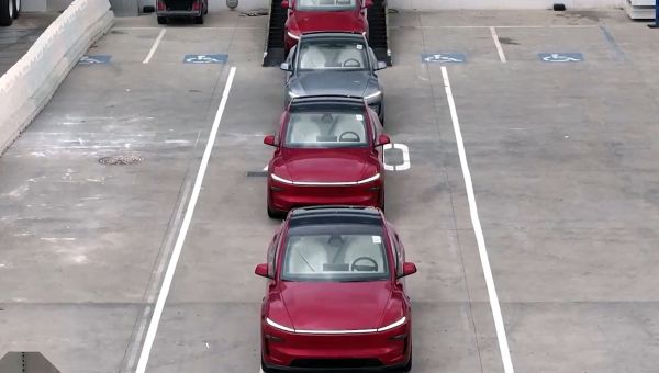 Tesla board chair denies trying to oust Elon Musk as the CEO leaves the West Wing