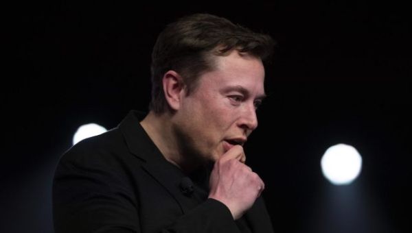 Musk creates Twitter poll asking whether to reinstate Trump