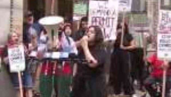 Activists Gather in Chicago for Democratic Convention to Demand Gaza Ceasefire News