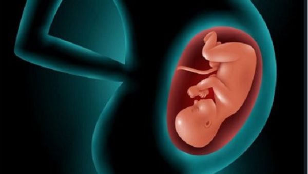 Kate Cox Does Not Need an Abortion to Save Her Life and Her Doctor Never Said She Did – LifeNews.com