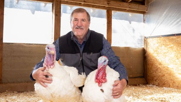 Two turkeys head back to North Carolina with the presidential pardon