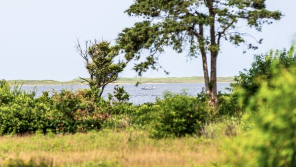 Chef’s Death Not Considered Suspicious, Police Say