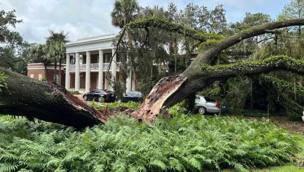 Hurricane Idalia Knocks Over Oak Tree at Fla. Governor’s Mansion with Ron DeSantis’ Family Inside