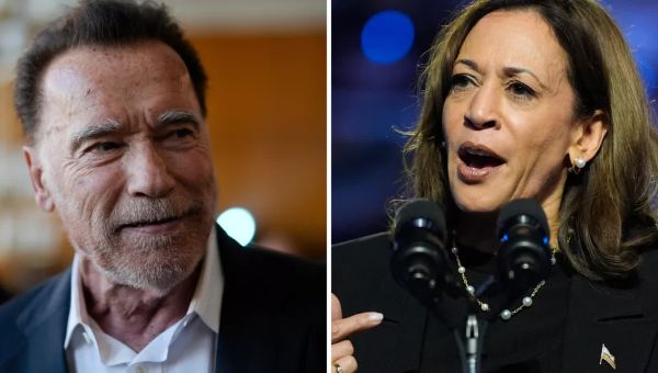 Graph shows Arnold Schwarzenegger’s following after Harris endorsement