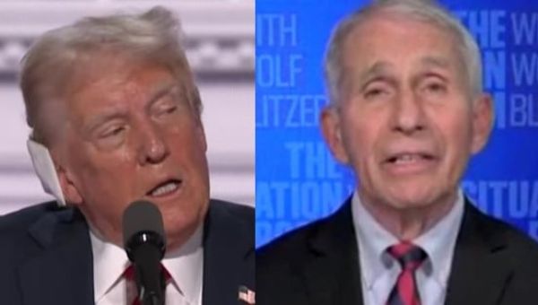 Fauci is back to discuss attempted Trump assassination: ‘There was no other further damage’