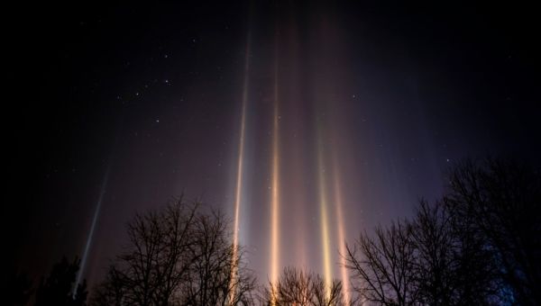 House Foreign Affairs Committee chairman Michael McCaul believes unidentified drones are “spy drones” from China