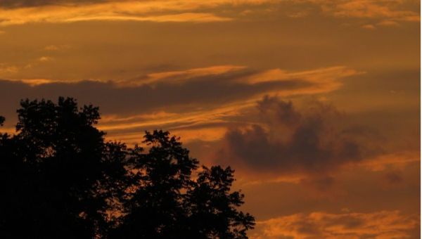 State of Emergency declared after New Jersey wildfire rapidly expands