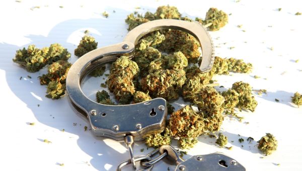 Why marijuana smokers should head to polls after Biden’s latest pardon – Rolling Out