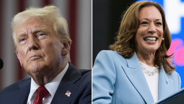 The Bulwark (website) Img